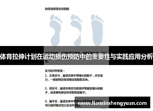 体育拉伸计划在运动损伤预防中的重要性与实践应用分析