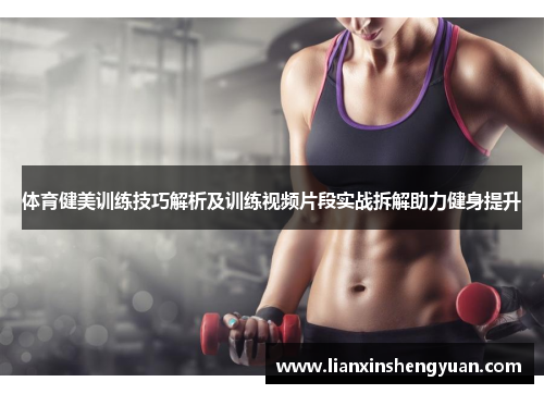 体育健美训练技巧解析及训练视频片段实战拆解助力健身提升
