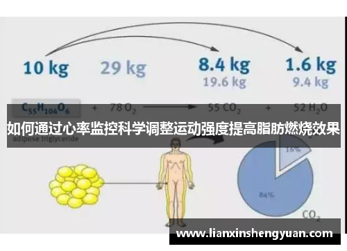 如何通过心率监控科学调整运动强度提高脂肪燃烧效果