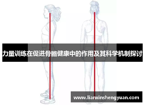 力量训练在促进骨骼健康中的作用及其科学机制探讨